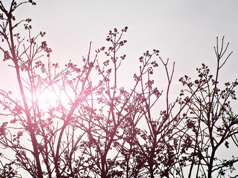 windows screenshot 5