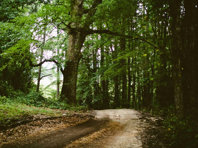 sudoku concentration boost screenshot 4